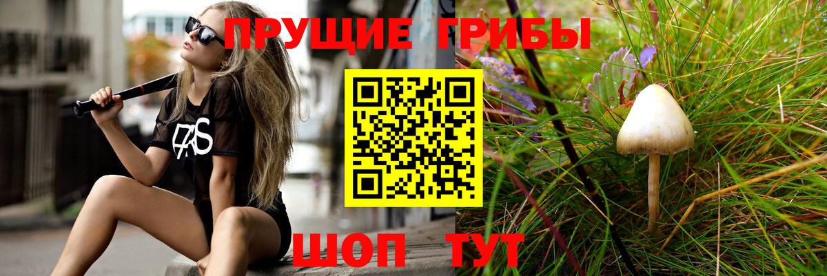 купить закладку  Галлюциногенные грибы Cubensis  Вход с VPN  Новочеркасск  Псилоцибиновые грибы Psilocybe 